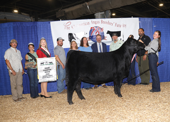 Grand Champion Owned Female