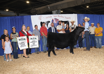 Reserve Grand Champion Owned Female