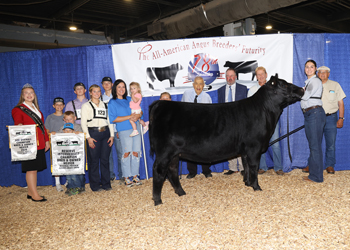 Third Overall Bred-and-owned Champion Female