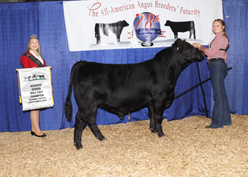 Bred-and-owned Reserve Senior Bull Calf Champion