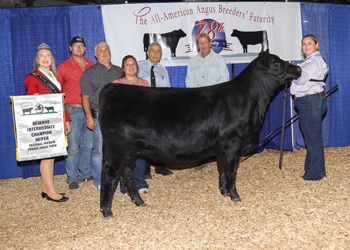 Owned Reserve Intermediate Champion Heifer
