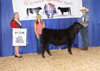 Bred-and-owned Junior Bull Calf Champion