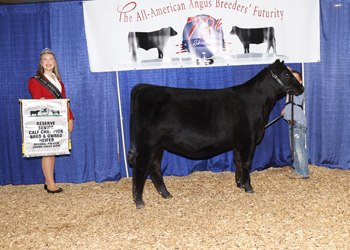 Bred-and-owned Reserve Senior Heifer Calf Champion