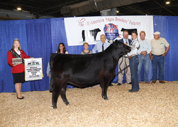 Reserve Grand Champion Bred-and-owned Female