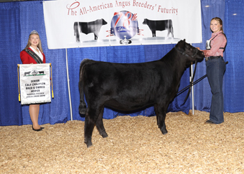 Bred-and-owned Senior Heifer Calf Champion