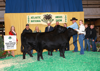 Grand Champion Cow-calf Pair
