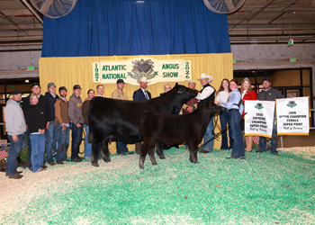 Grand Champion Female