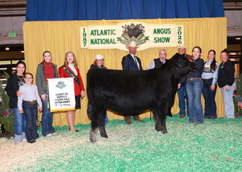 Summer Heifer Calf Champion