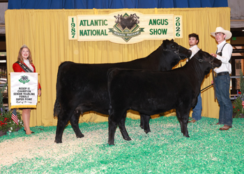 Reserve Senior Champion Female