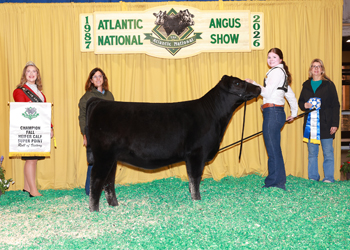 Fall Heifer Calf Champion
