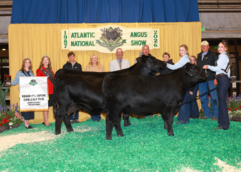 Grand Champion Cow-calf Pair