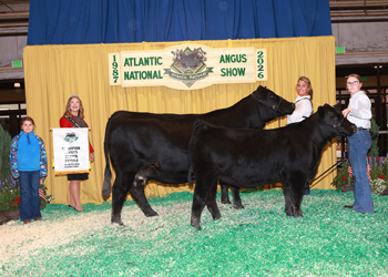Owned Senior Champion Female
