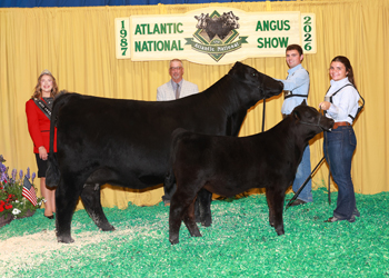 Bred-and-owned Junior Champion Heifer
