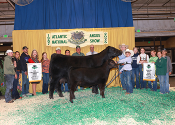 Fifth Overall Owned Champion Female