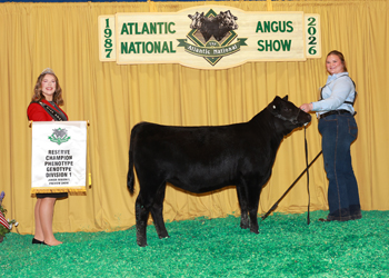 PGS Reserve Heifer Division 1