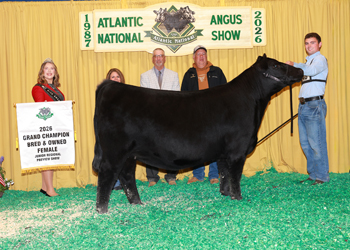 Grand Champion Bred-and-owned Female