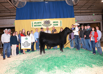 Reserve Grand Champion Owned Female