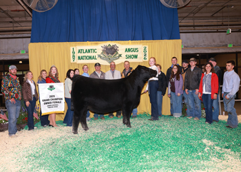 Grand Champion Owned Female