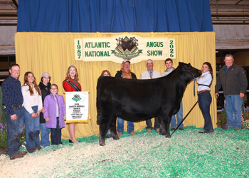 Fourth Overall Owned Champion Female