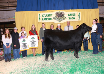 Third Overall Owned Champion Female