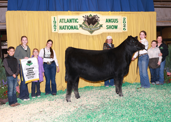 Owned Summer Heifer Calf Champion