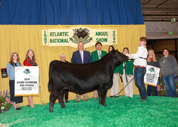 Grand Champion PGS Female