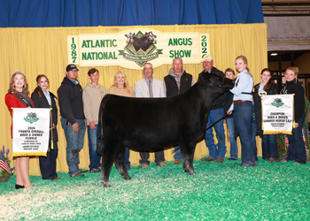 Fourth Overall Bred-and-owned Champion Female
