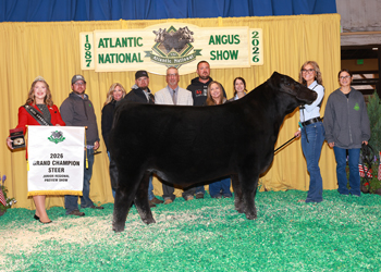 Grand Champion Steer