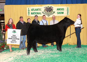 Grand Champion Bred-and-owned Steer