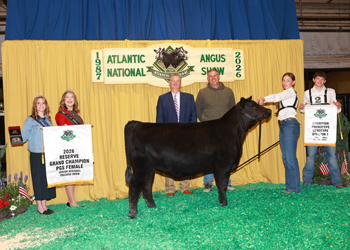 Reserve Grand Champion PGS Female