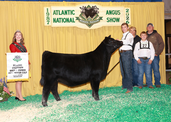 Bred-and-owned Reserve Fall Heifer Calf Champion