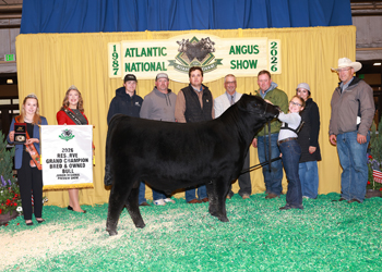 Reserve Grand Champion Bred-and-owned Bull