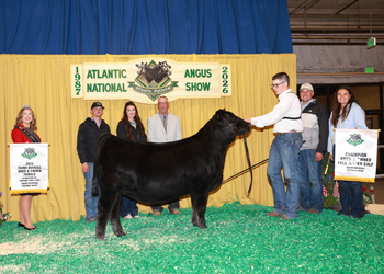 Third Overall Bred-and-owned Champion Female