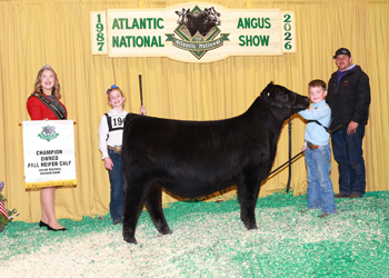 Owned Fall Heifer Calf Champion