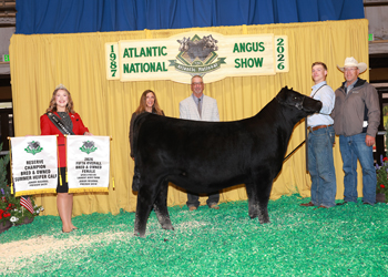 Fifth Overall Bred-and-owned Champion Female