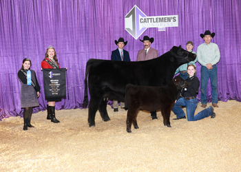 Reserve Grand Champion Cow-calf Pair