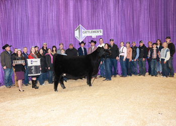 Grand Champion Female