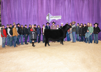 Reserve Grand Champion Female