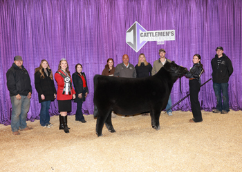 Reserve Senior Heifer Calf Champion - Div 1
