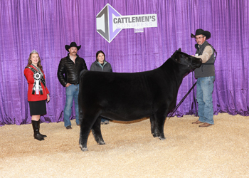 Reserve Senior Heifer Calf - Div 2