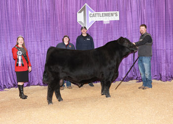 PGS Reserve Bull Division 4