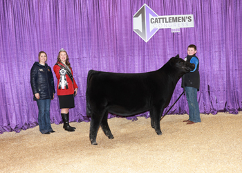 Reserve Junior Heifer Calf Champion - Div 4