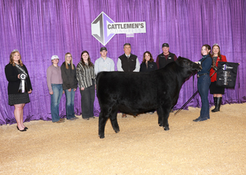 Reserve Grand Champion PGS Bull