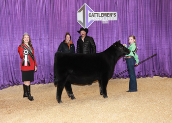 Reserve Junior Heifer Calf Champion - Div 1