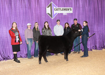 PGS Heifer Division 1