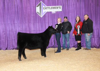 Reserve Summer Heifer Calf Champion