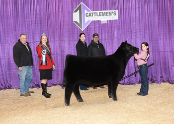 Summer Heifer Calf Champion