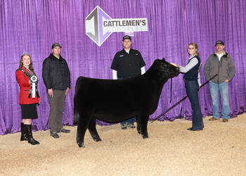 Reserve Junior Heifer Calf Champion - Div 3