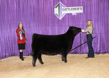 Junior Heifer Calf Champion - Div 3