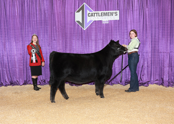 PGS Reserve Heifer Division 3